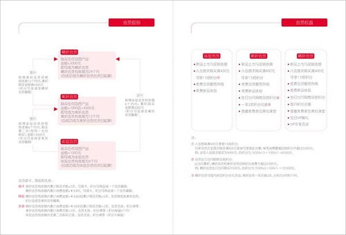 四個石頭 射洪縣畫冊設計與企業形象策劃的專業力量